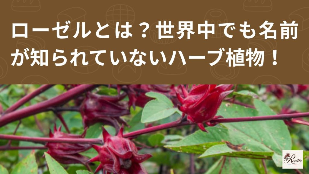 ローゼルとは？実は世界中で飲まれているのに名前が知られていないハーブ植物だった！